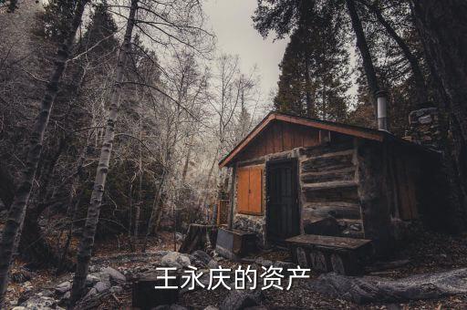 中航王永慶畢業(yè)什么大學(xué)，王永慶的一生
