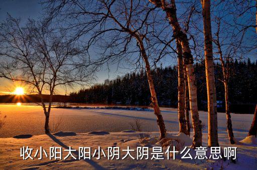 收小陽大陽小陰大陰是什么意思啊