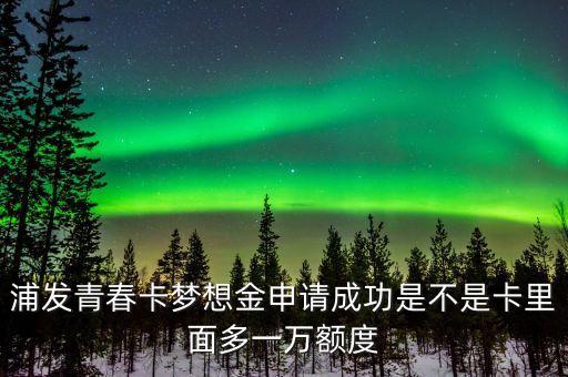 浦發(fā)青春卡夢(mèng)想金是什么，浦發(fā)青春卡61到手申請(qǐng)請(qǐng)了夢(mèng)想金轉(zhuǎn)固定額度不行已查夢(mèng)想金有一