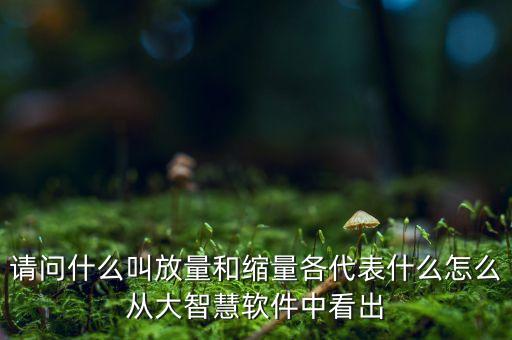 什么是放量和縮量圖片，請問什么叫放量和縮量各代表什么怎么從大智慧軟件中看出