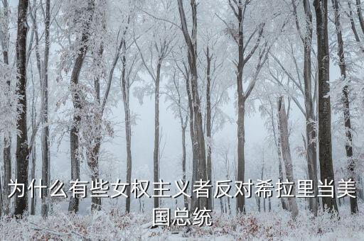 為什么有些女權(quán)主義者反對(duì)希拉里當(dāng)美國總統(tǒng)