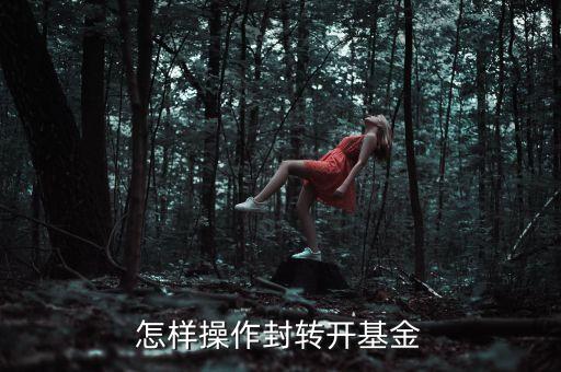 怎樣操作封轉開基金