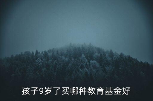 給寶寶買(mǎi)什么基金好，我孩子還不到兩歲給她買(mǎi)什么教育基金好
