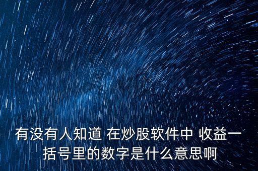 有沒有人知道 在炒股軟件中 收益一 括號(hào)里的數(shù)字是什么意思啊