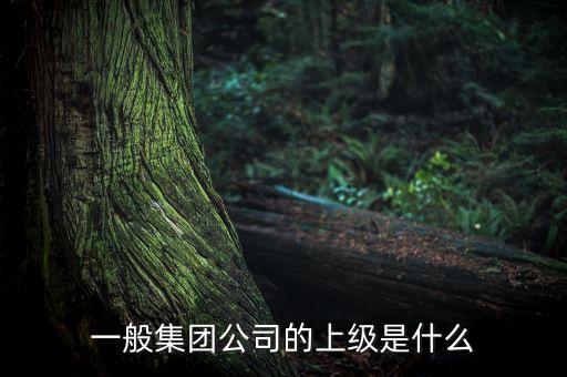 一般集團(tuán)公司的上級(jí)是什么
