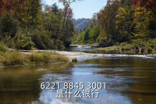 1807是什么銀行的，6217998700001600868是什么銀行的