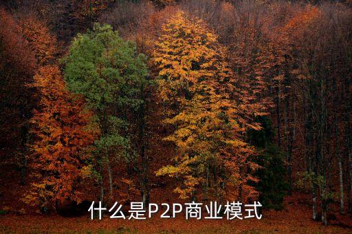 什么是純p2p商業(yè)模式，什么是純p2p中介模式