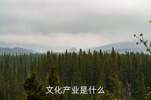 中投文化產(chǎn)業(yè)是什么，什么是文化產(chǎn)業(yè)