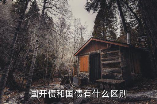 什么是國(guó)開債券，國(guó)開債和國(guó)債有什么區(qū)別