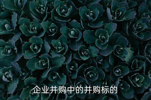 企業(yè)并購中的并購標(biāo)的