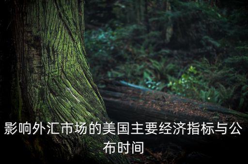影響外匯市場的美國主要經(jīng)濟指標與公布時間