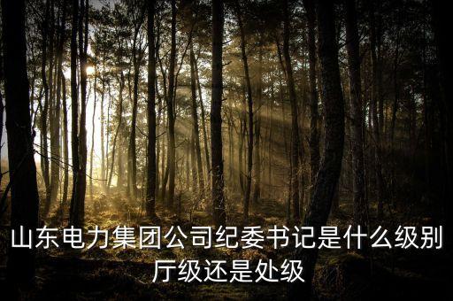 央企的紀委書記什么級別，副部級國有企業(yè)紀檢監(jiān)察主任是什么級別