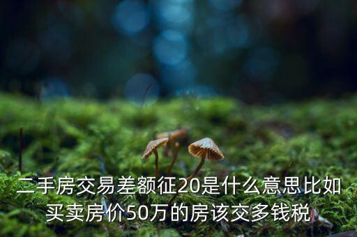 什么房子需要繳納差價20的稅，二手房交易差額征20是什么意思比如買賣房價50萬的房該交多錢稅