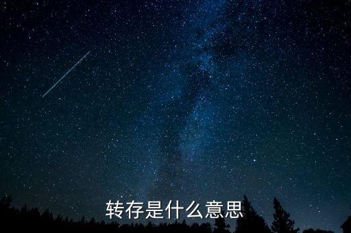 轉(zhuǎn)存是什么意思