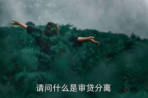 請(qǐng)問(wèn)什么是審貸分離
