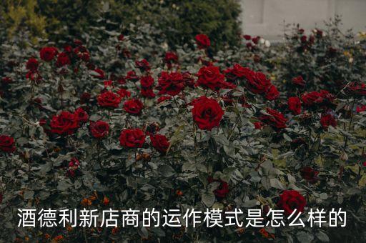 什么是n2n模式，如何設(shè)置n2n gui急