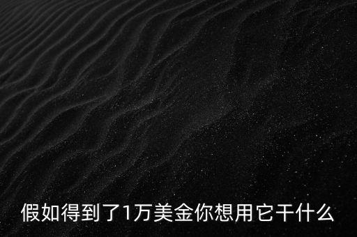 假如得到了1萬(wàn)美金你想用它干什么