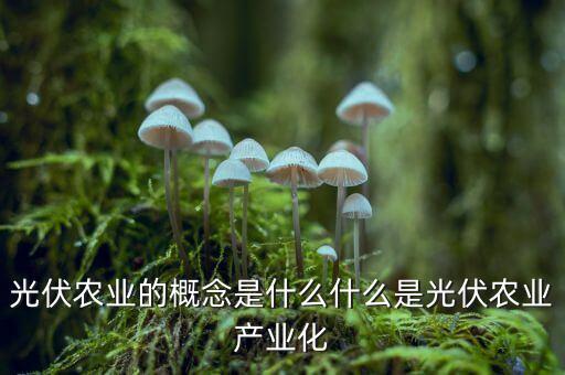 光伏農(nóng)業(yè)概念是什么，光伏下鄉(xiāng)什么是光伏下鄉(xiāng)