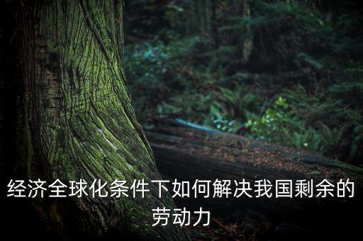發(fā)達(dá)國家為什么要援助發(fā)展中國家，經(jīng)濟(jì)全球化條件下如何解決我國剩余的勞動力