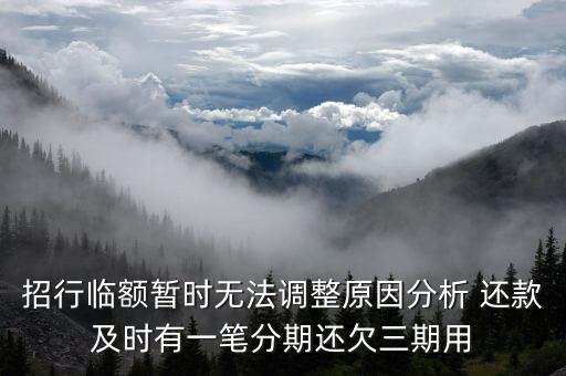 招行臨額暫時(shí)無(wú)法調(diào)整原因分析 還款及時(shí)有一筆分期還欠三期用