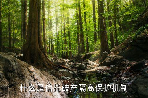 什么是信托破產隔離保護機制