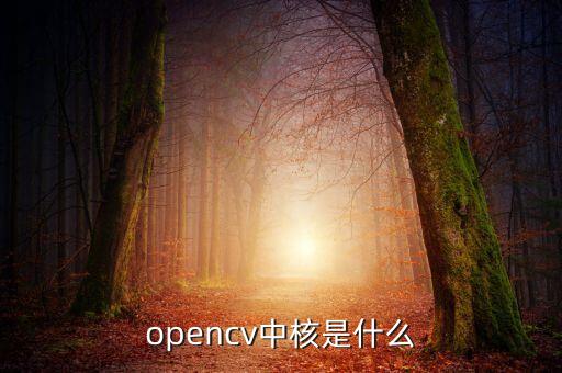 opencv中核是什么