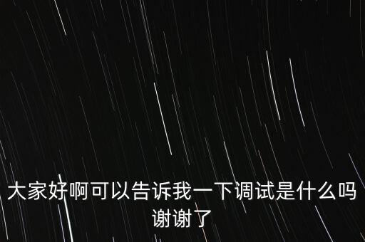 大家好啊可以告訴我一下調試是什么嗎謝謝了