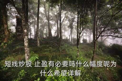 短線(xiàn)炒股 止盈有必要嗎什么幅度呢為什么希望詳解