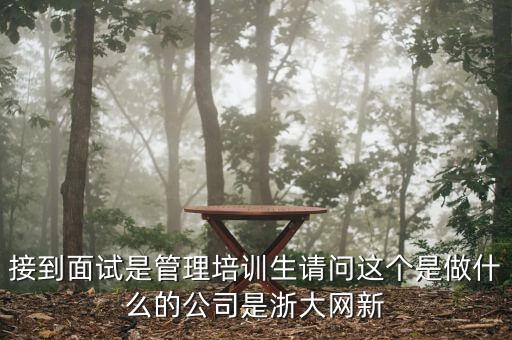接到面試是管理培訓(xùn)生請(qǐng)問(wèn)這個(gè)是做什么的公司是浙大網(wǎng)新