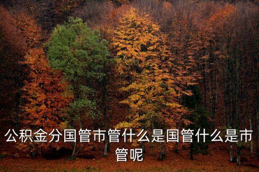 什么是國管公積金，公積金分國管市管什么是國管什么是市管呢