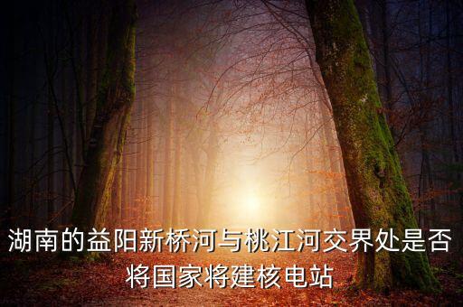 湖南的益陽(yáng)新橋河與桃江河交界處是否將國(guó)家將建核電站