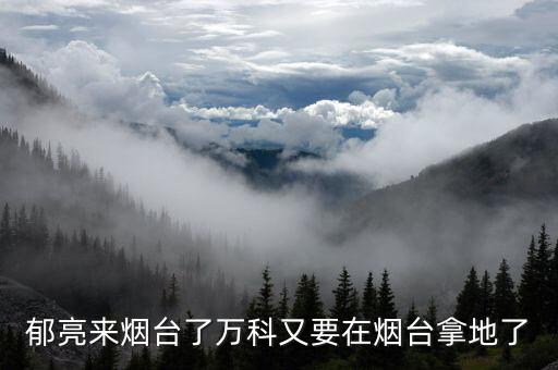 郁亮來煙臺了萬科又要在煙臺拿地了