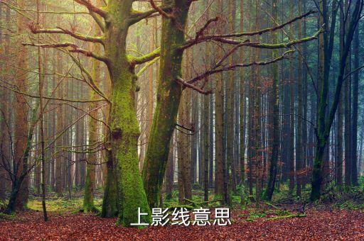 什么是收于上影線，每天收盤都有上影線