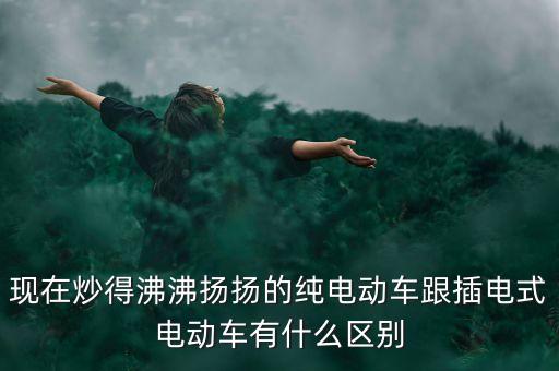 現(xiàn)在炒得沸沸揚揚的純電動車跟插電式電動車有什么區(qū)別