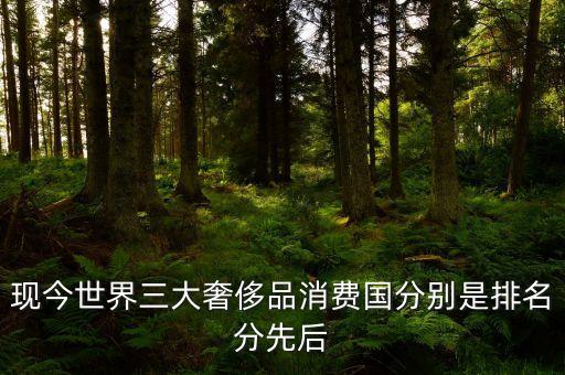 中國(guó)人在海外什么國(guó)家購(gòu)買奢侈品，現(xiàn)今世界三大奢侈品消費(fèi)國(guó)分別是排名分先后
