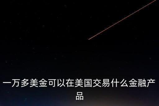 一萬(wàn)多美金可以在美國(guó)交易什么金融產(chǎn)品