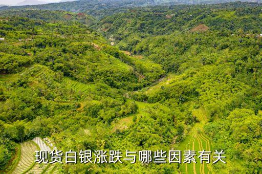 現(xiàn)貨白銀漲跌與哪些因素有關(guān)