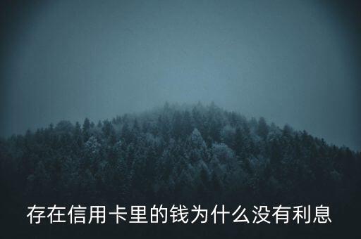 信用卡為什么沒有利息，請問信用卡存款為什么沒有利息