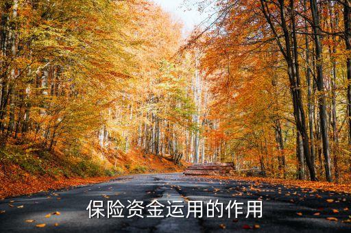 保險資金運用余額什么意思，保險每年的資金運用余額具體是什么