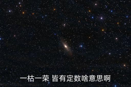 一枯一榮是什么意思，一枯一榮 皆有定數(shù)啥意思啊