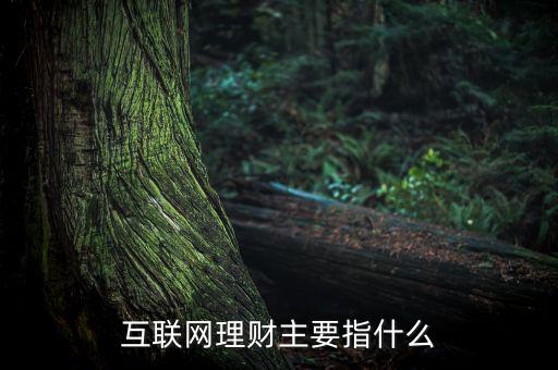 互聯(lián)網(wǎng)理財(cái)主要指什么