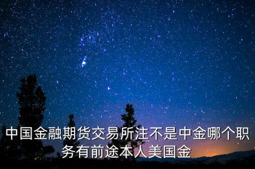 中金交易所是做什么的，中國金融期貨交易所注不是中金哪個職務有前途本人美國金