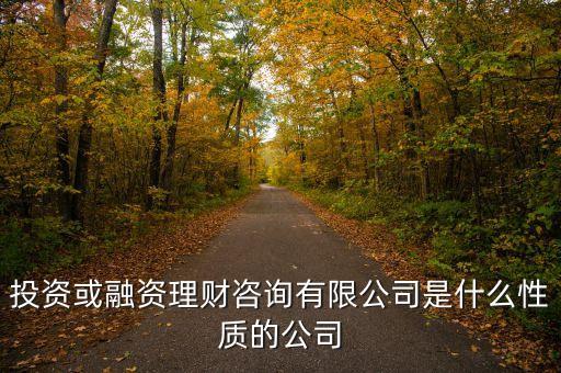 金融理財(cái)有限公司是什么性質(zhì)的，投資或融資理財(cái)咨詢有限公司是什么性質(zhì)的公司