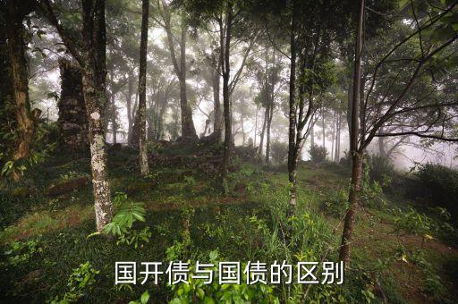 國(guó)開債與國(guó)債的區(qū)別