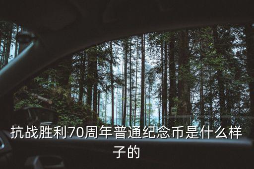 70周年抗戰(zhàn)幣是什么材質(zhì)，抗戰(zhàn)勝利70周年普通紀(jì)念幣是什么樣子的