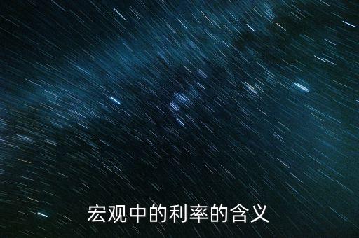 宏觀中的利率的含義