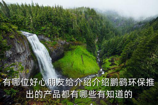 鵬鷂環(huán)保什么時(shí)候上市，我姑姑很想要了解鵬鷂環(huán)保推出的產(chǎn)品都有哪些有知道的么