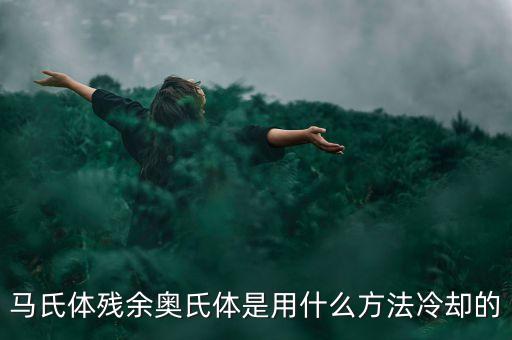 什么是qp鋼，什么國(guó)產(chǎn)車(chē)是馬氏體鋼