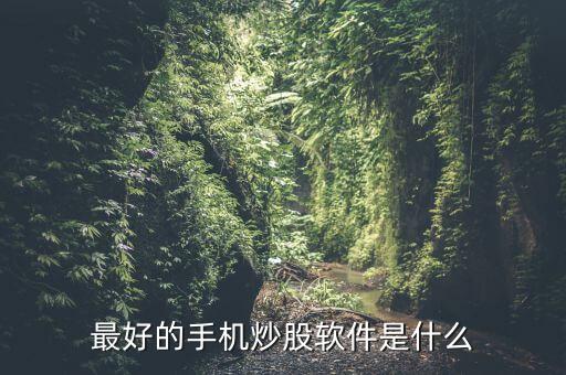 手機買股票用什么軟件好，手機炒股哪個軟件比較好