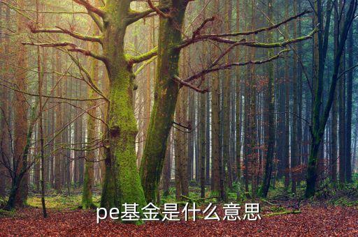 pe基金是什么，PE基金是什么SOSO搜吧